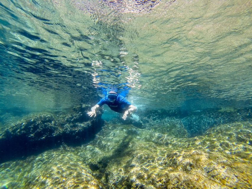 San Terenzo: Portovenere Natural Park Snorkeling Trip - What the marine biology lesson adds