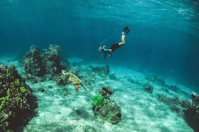 Santa Maria and Chileno Bay Snorkel Adventure Los Cabos - What the $95 Price Includes