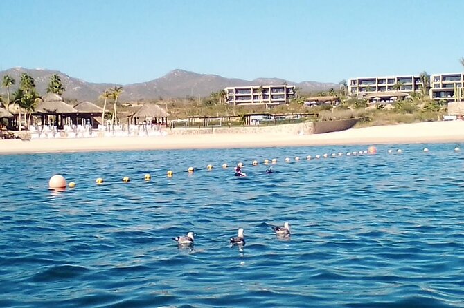 Santa Maria and Chileno Bay Snorkel Adventure Los Cabos - Chileno Bay’s Fish and Rock Formations