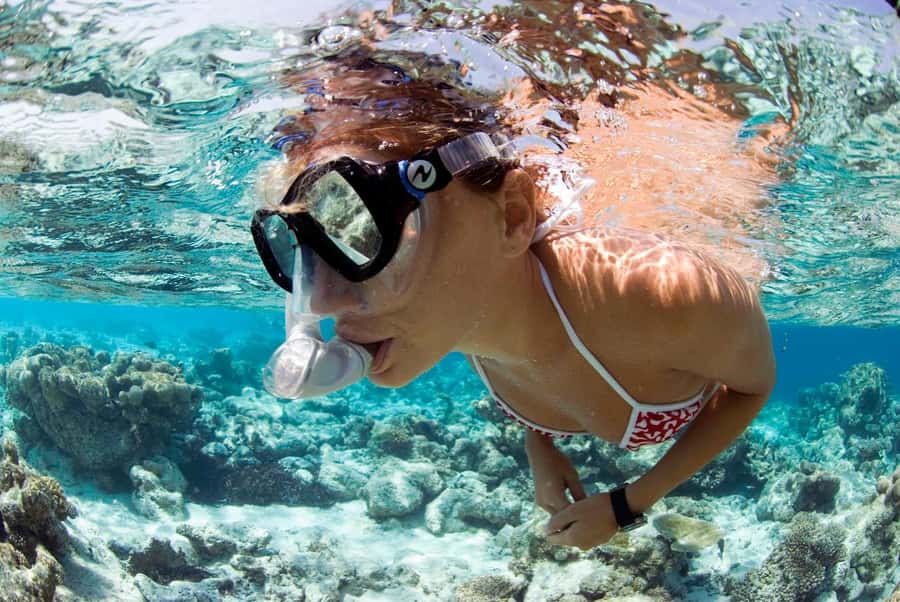 Santa Maria: Guided Snorkeling and Reef Tour - Sea turtles, rays, eels, and smaller reef fish