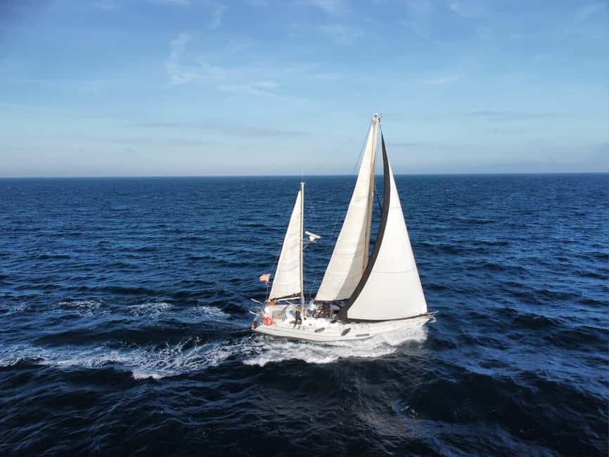 Santa Pola: Sail to Tabarca, snorkel, and enjoy sunset with a tasting - The sail across Santa Pola Bay