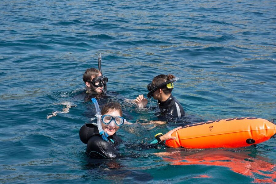 Santa Ponsa: Snorkeling Tour in a Marine Reserve - Is $71 a fair price?