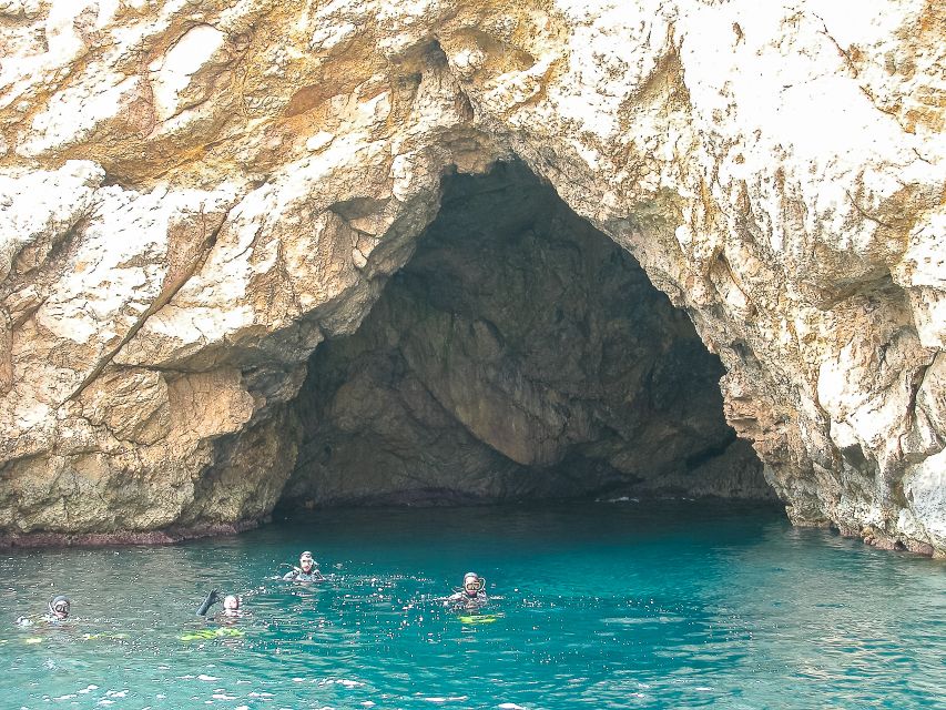 Santa Ponsa: Snorkeling Tour in a Marine Reserve - What the 30-minute briefing covers