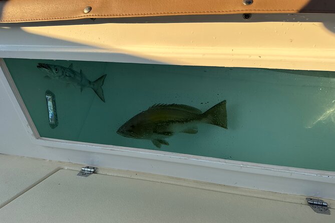 Santorini Fishing Private Cruise boat tour - BBQ, Snorkeling - Lunch cooked aboard from the day’s catch