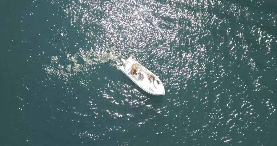 Santorini: License-Free Boat Rental with Snorkeling Gear - Why a license-free boat changes your Santorini day