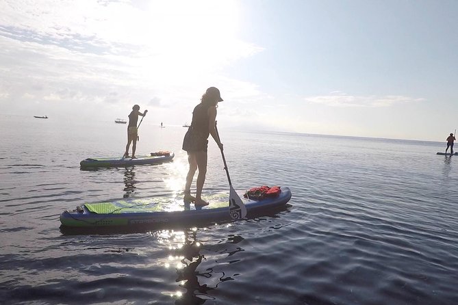 Santorini: Stand-Up Paddle and Snorkel Adventure - Key points to know before booking