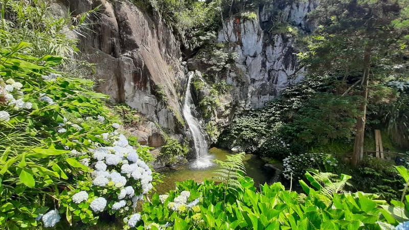 São Miguel Azores: Hike and Snorkeling with a local - Key points to know before booking