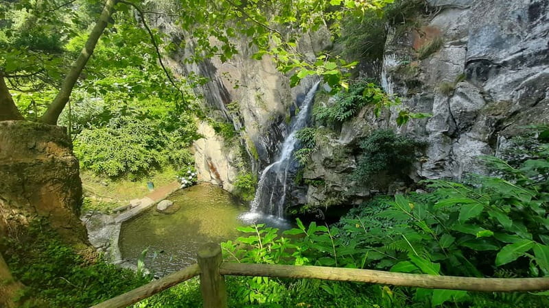 São Miguel Azores: Hike and Snorkeling with a local - Should you book the São Miguel hike and snorkeling tour?