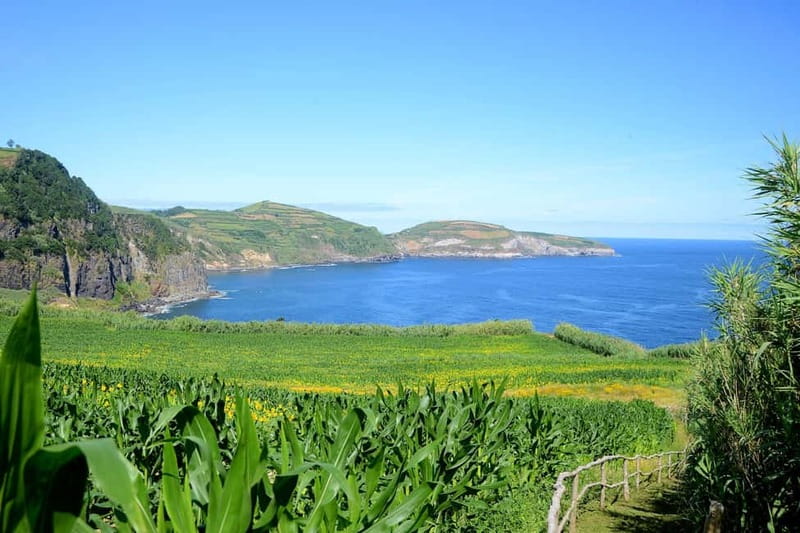 São Miguel Azores: Hike and Snorkeling with a local - Who will enjoy this outing most