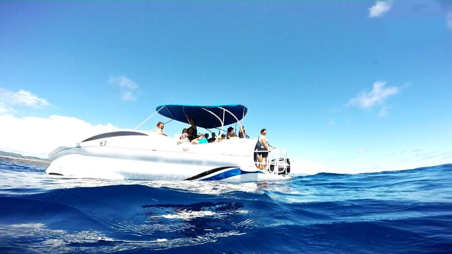 São Miguel: Glass Bottom Boat Tour with Snorkeling - Quick take: what makes this boat trip worthwhile