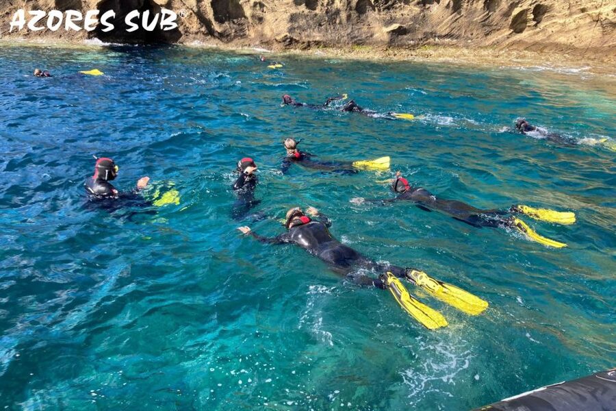 Sao Miguel: Snorkeling around Vila Franca do Campo - Key points to know before you book