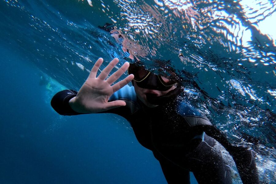 Sao Miguel: Snorkeling around Vila Franca do Campo - The 30-minute briefing is time well spent