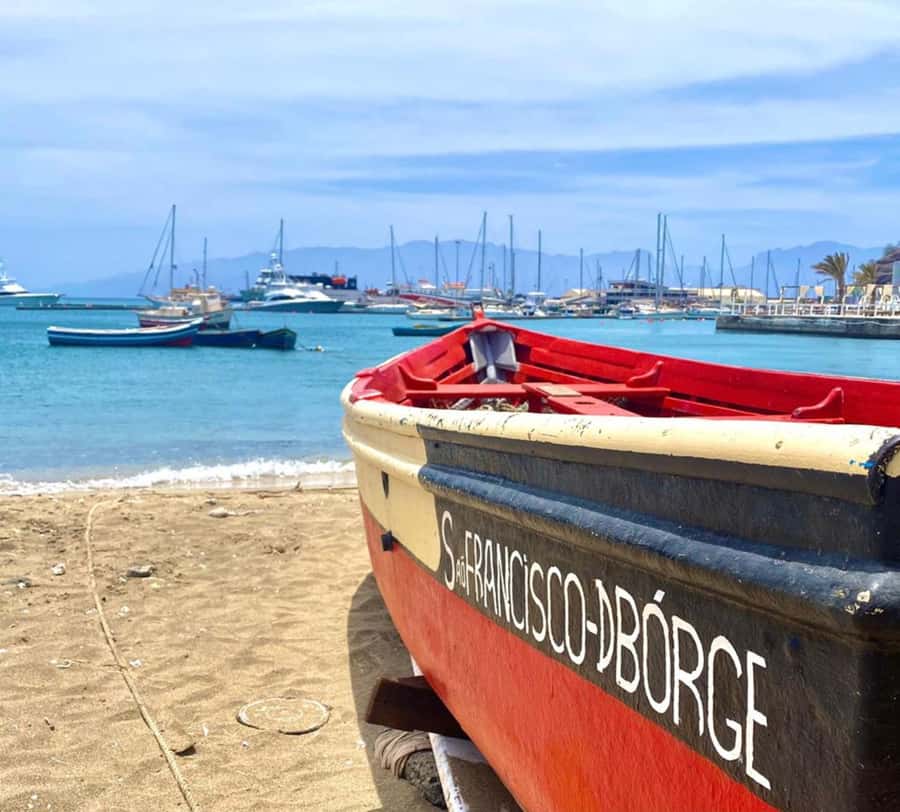 São Vicente: Snorkel with Sea Turtles Adventure - What the One Hour in the Water Feels Like