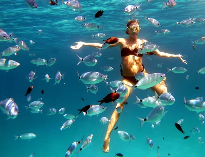 Sardinia: Morning Kayak Tour + Snorkeling and Local Aperitif - Key things to know before you book
