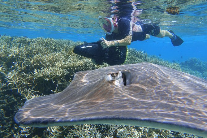 Sea Scooter Jet Snorkeling "Moorea Dream Adventure" - Three stops, three chances to see Moorea underwater