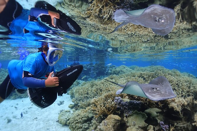 Sea Scooter Jet Snorkeling "Moorea Dream Adventure" - Stingrays, sharks, dolphins, and the final water stop