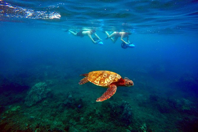 Sea Scooter Snorkeling Tour with GoPro - Wailea Beach - Why the Sea Scooter Changes the Snorkeling Experience