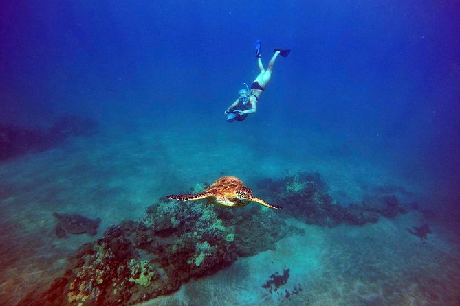 Sea Scooter Snorkeling Tour with GoPro - Wailea Beach - What the Guides Add to the Time in the Water