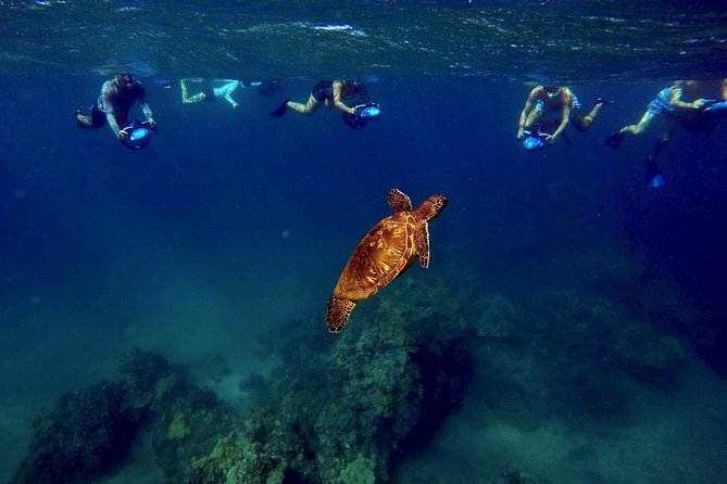 Sea Scooter Snorkeling Tour with GoPro - Wailea Beach - Is $149 a Fair Price?