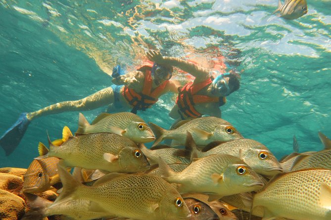 Sea Turtle Snorkeling Ecofriendly Tour from Cancun & Riviera Maya - Why this outing works as a two-part water day