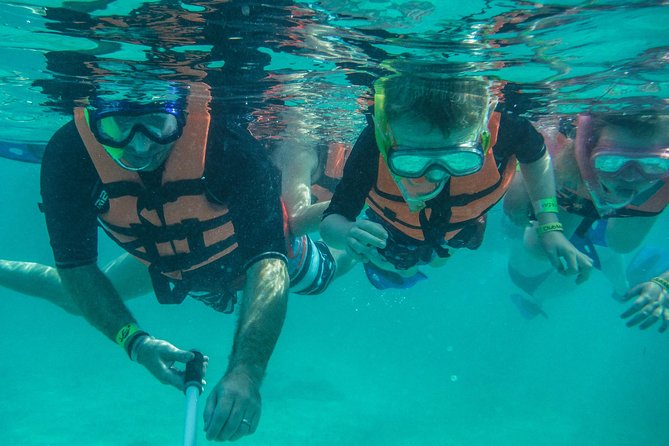 Sea Turtle Snorkeling Ecofriendly Tour from Cancun & Riviera Maya - Coral, fish, and changing water conditions