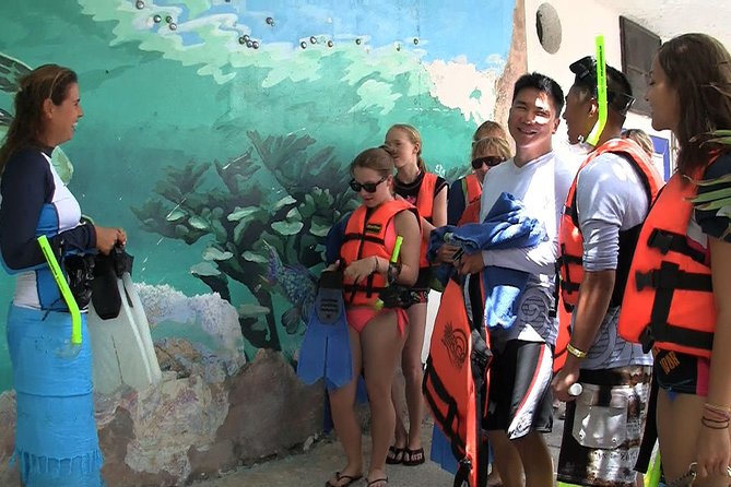Sea Turtle Snorkeling Ecofriendly Tour from Cancun & Riviera Maya - Akumal Bay and the sea turtle swim