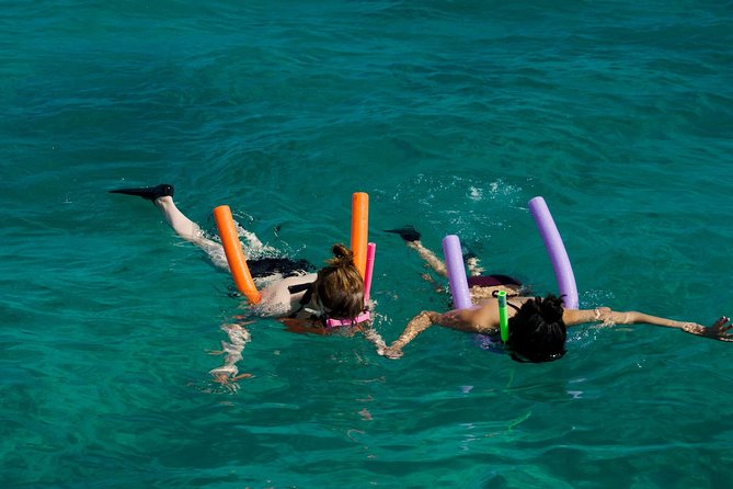 Shallow Water Snorkeling and Dolphin Watching in Key West - Finding dolphins in open water