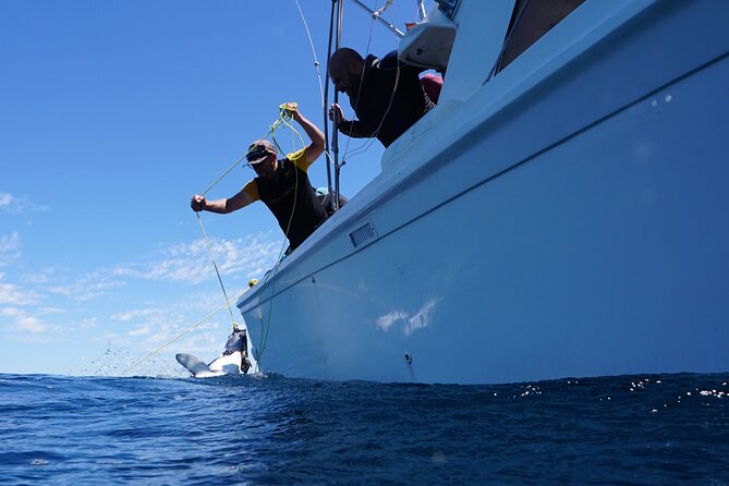 Shark Safari & Snorkel Adventure in Cabo San Lucas - What is included, and what you should bring