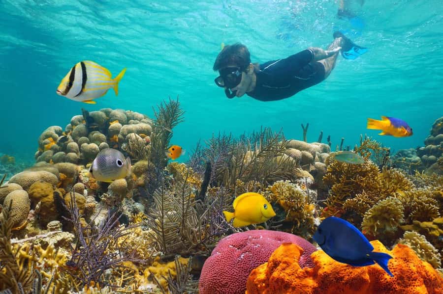 Sharm El Sheikh: Luxury boat Cruise with Snorkeling & Lunch - Your first reef stop at Ras Muhammad