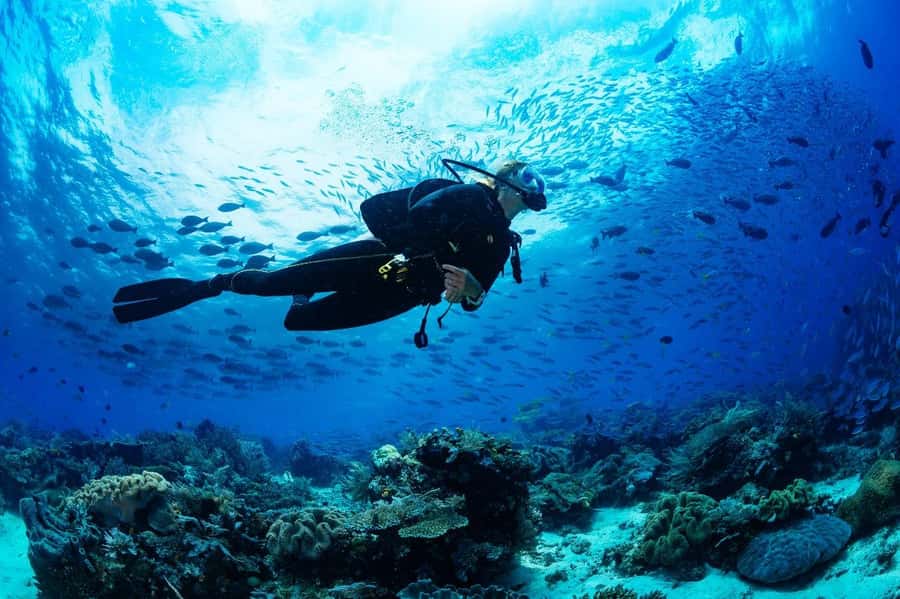 Sharm El Sheikh: Luxury boat Cruise with Snorkeling & Lunch - The second swim and the ride home