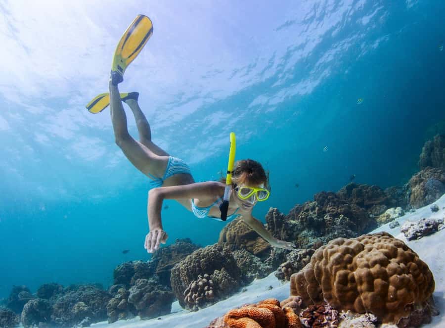Sharm El Sheikh: Luxury boat Cruise with Snorkeling & Lunch - What the $35 price really covers