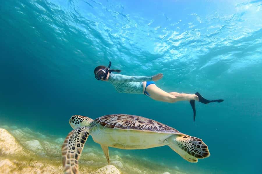 Sharm El Sheikh: Luxury boat Cruise with Snorkeling & Lunch - Is this Sharm El Sheikh cruise worth booking?