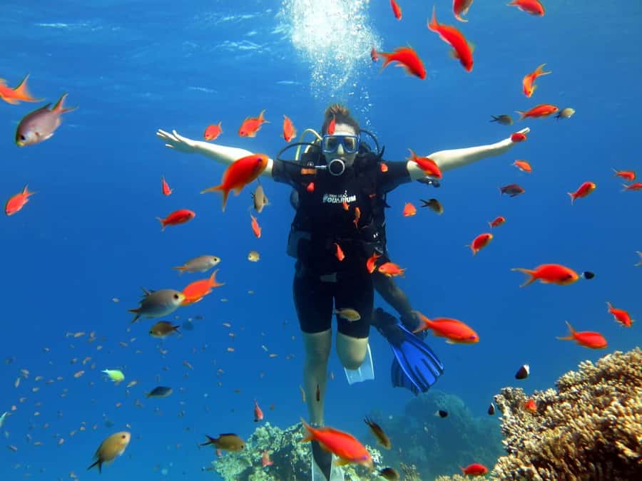 Sharm El Sheikh: Ras Mohamed Cruise with Snorkeling & Lunch - Crew Service and the Human Side of the Trip