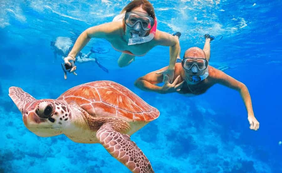 Sharm El Sheikh: Ras Mohamed & White Island Dive & Snorkel - Ras Mohamed by boat, with White Island in the middle