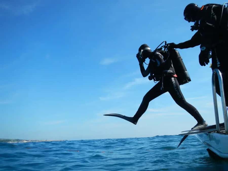 Sharm El Sheikh: Ras Mohamed & White Island Dive & Snorkel - The second Ras Mohamed stop gives you more time over the coral