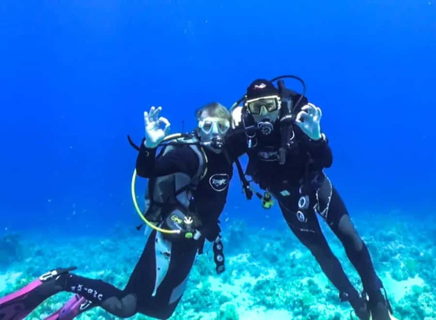 Sharm El Sheikh: Ras Mohamed & White Island Dive & Snorkel - Family groups and first-timers are the best match