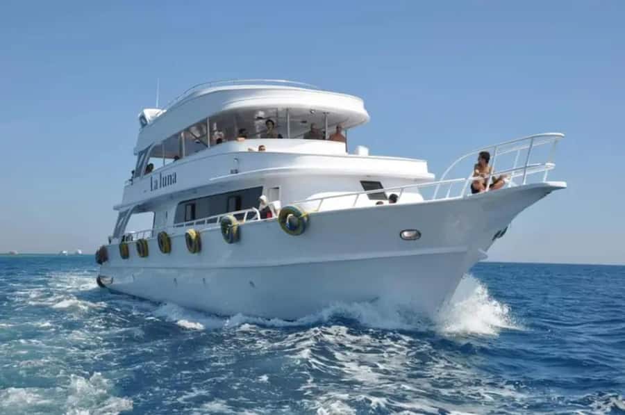 Sharm El Sheikh: Ras Mohamed & White Island Dive & Snorkel - The tradeoffs you should know before booking