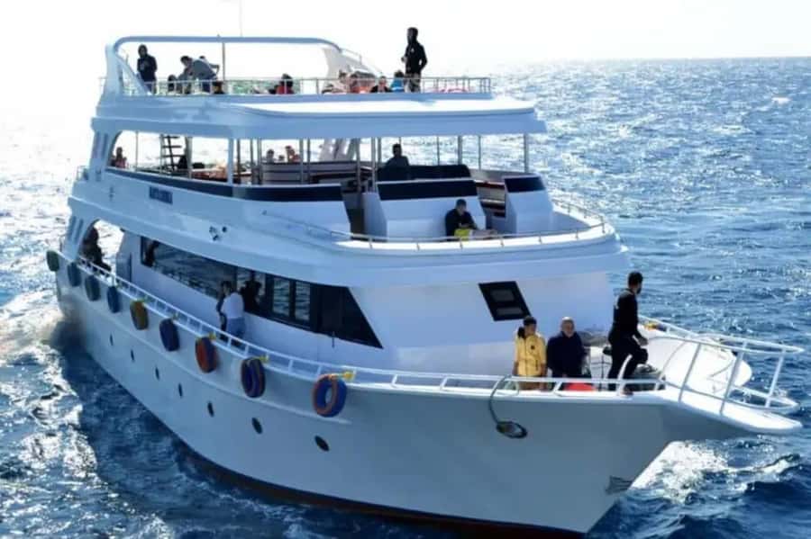 Sharm El Sheikh: Ras Mohamed & White Island Dive & Snorkel - The first reef stop: your introduction to Red Sea sea life