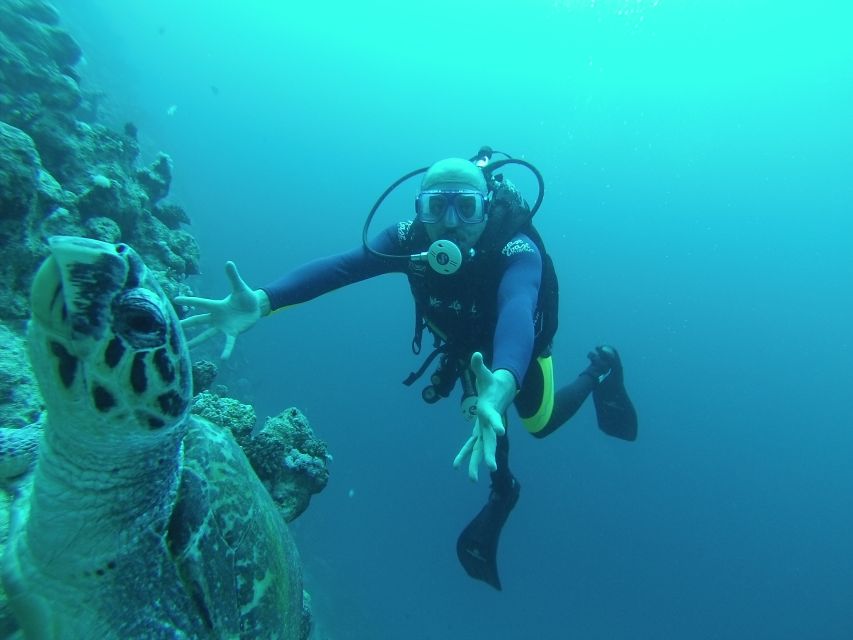 Sharm El Sheikh: Ras Mohamed & White Island Snorkel or Dive - Two reef stops, with time to look around
