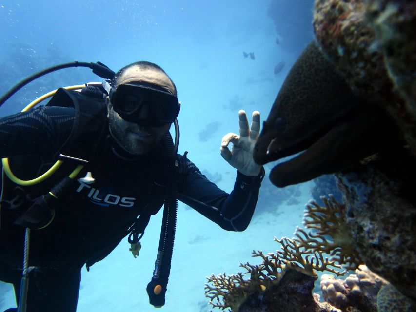Sharm El Sheikh: Ras Mohamed & White Island Snorkel or Dive - Lunch, drinks, and the pace between sessions