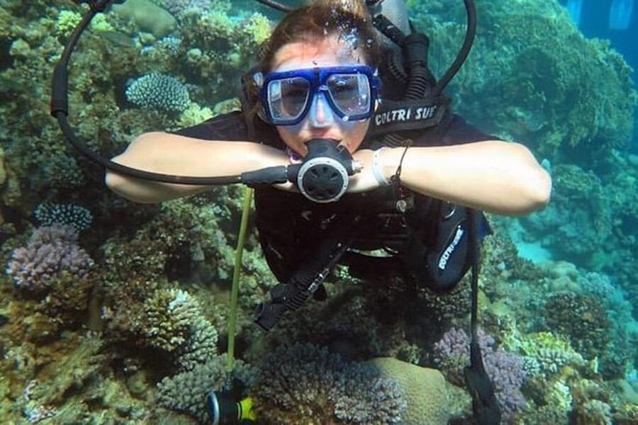 Sharm El Sheikh: Ras Mohamed & White Island Snorkel or Dive - The morning pickup and boat routine