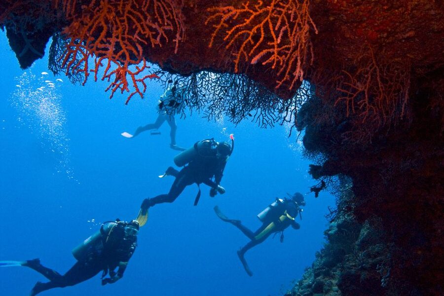 Sharm El-Sheikh: Ras Mohamed & White Island Snorkeling Trip - The first snorkeling stop at Ras Mohammed