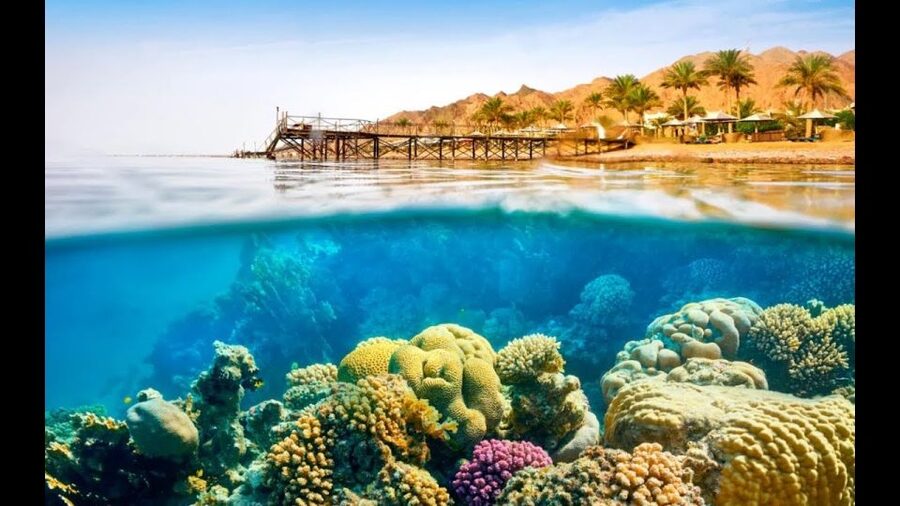 Sharm El-Sheikh: Ras Mohamed & White Island Snorkeling Trip - Lunch, drinks, and time on deck
