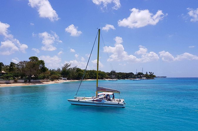 Shasa private catamran sailing cruise, Snorkel with turtles. - Why the private format changes the value