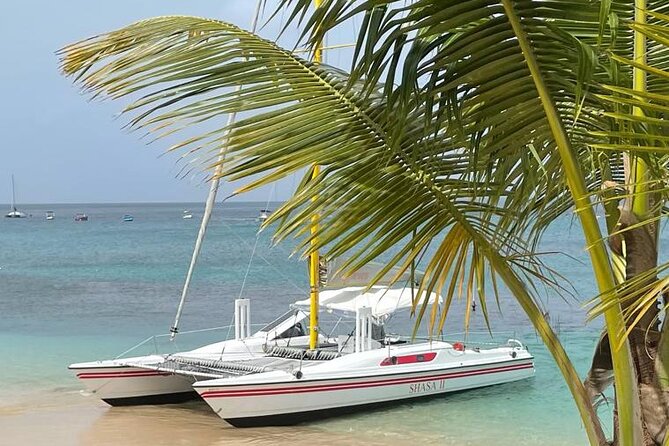 Shasa private catamran sailing cruise, Snorkel with turtles. - Crew service and the human touch