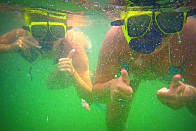 Shell Island Snorkel and Dolphin Catamaran Cruise with Island Time - Practical planning before you leave