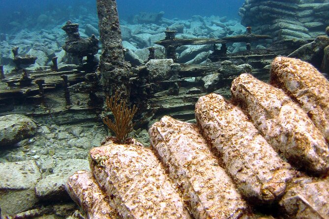 Shipwreck Snorkel in Bermuda - The boat atmosphere and crew service
