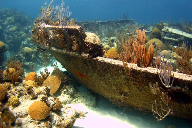 Shipwreck Snorkel in Bermuda - About an hour around wrecks, coral, and fish