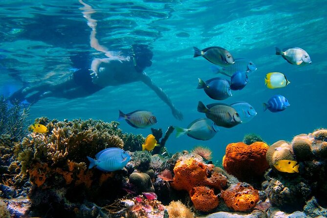 Short Excursion 4-Hour Party Catamaran and Snorkeling - From Cabarete toward Sosua