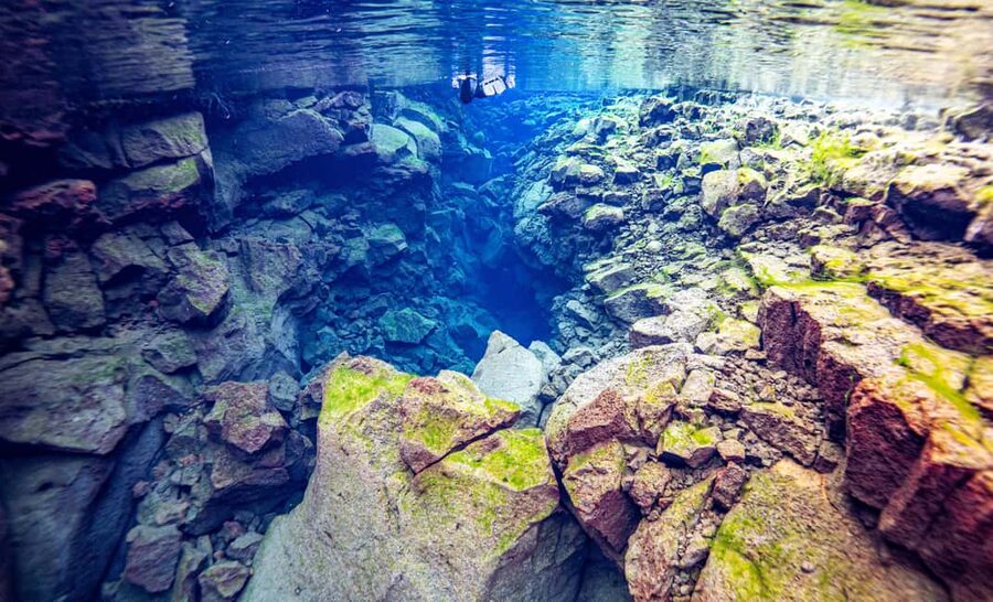 Silfra: Snorkel Between Continents. Free Professional Photos - Is $163 a fair price?